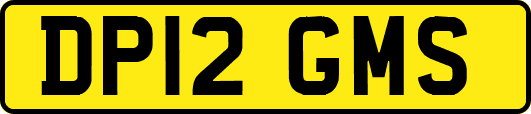 DP12GMS