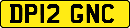 DP12GNC