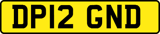 DP12GND