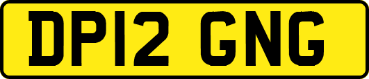 DP12GNG