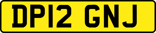 DP12GNJ