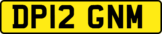 DP12GNM