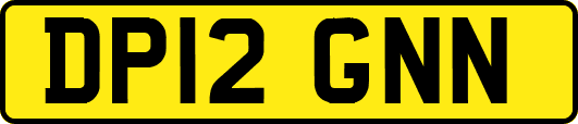 DP12GNN
