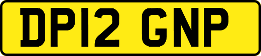 DP12GNP
