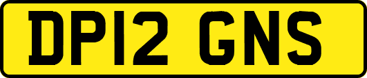 DP12GNS