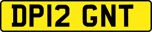 DP12GNT