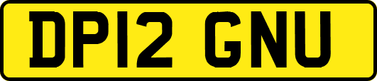 DP12GNU