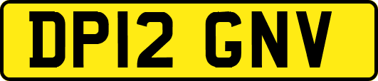 DP12GNV