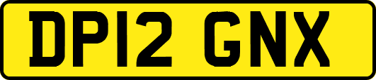 DP12GNX