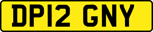 DP12GNY
