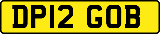 DP12GOB