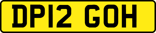 DP12GOH