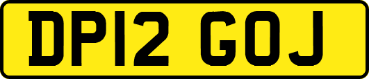 DP12GOJ