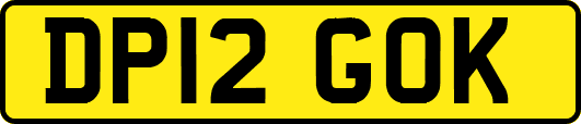 DP12GOK