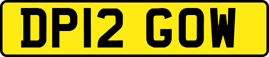 DP12GOW