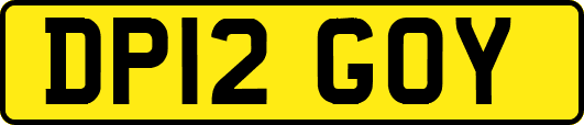 DP12GOY