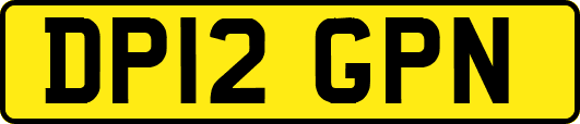 DP12GPN