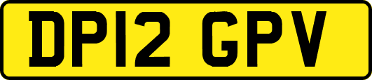 DP12GPV