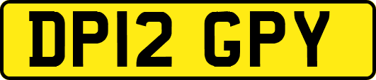 DP12GPY