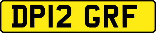 DP12GRF