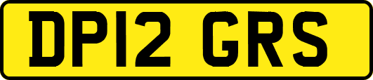 DP12GRS