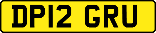 DP12GRU