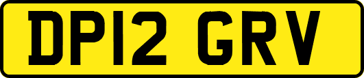 DP12GRV