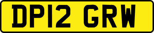 DP12GRW