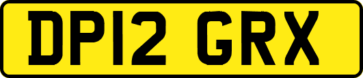 DP12GRX