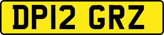 DP12GRZ