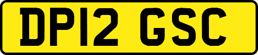 DP12GSC