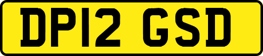 DP12GSD