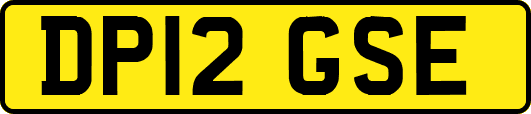 DP12GSE