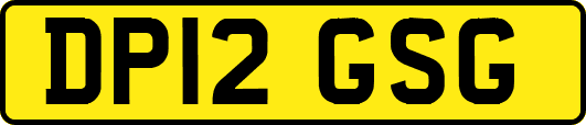 DP12GSG