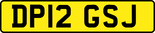 DP12GSJ