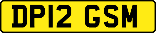 DP12GSM