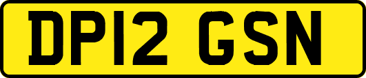 DP12GSN