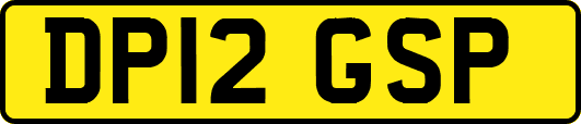 DP12GSP