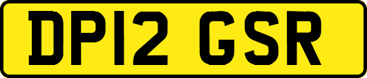 DP12GSR