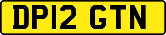 DP12GTN