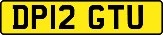 DP12GTU