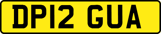 DP12GUA