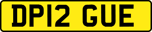 DP12GUE
