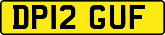 DP12GUF