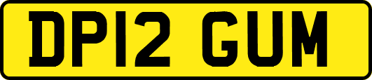 DP12GUM