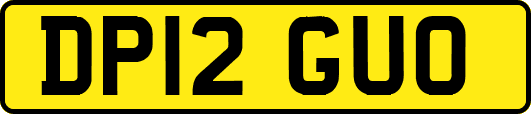 DP12GUO