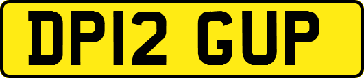 DP12GUP