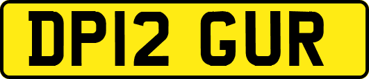 DP12GUR