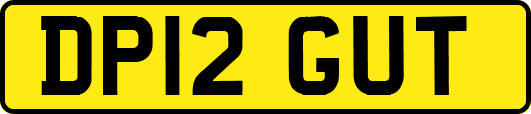 DP12GUT