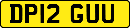 DP12GUU